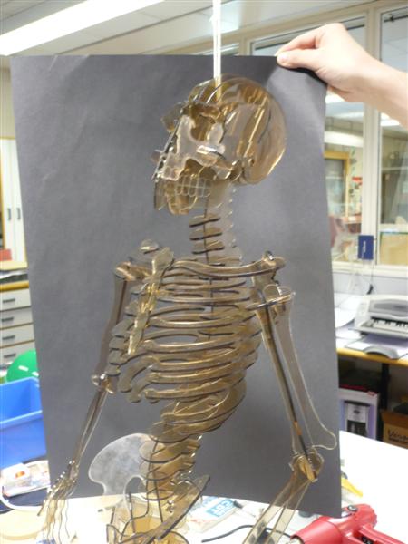 Skeleton.JPG