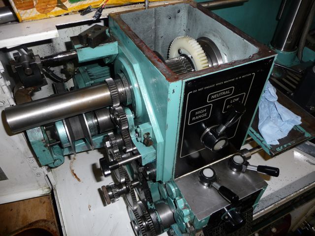 P1020496 - reduced.jpg