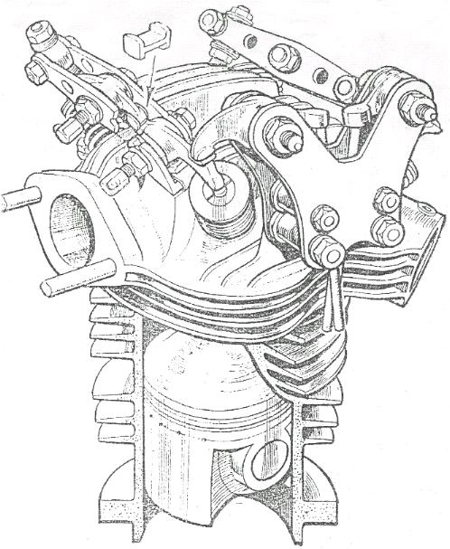 head.jpg