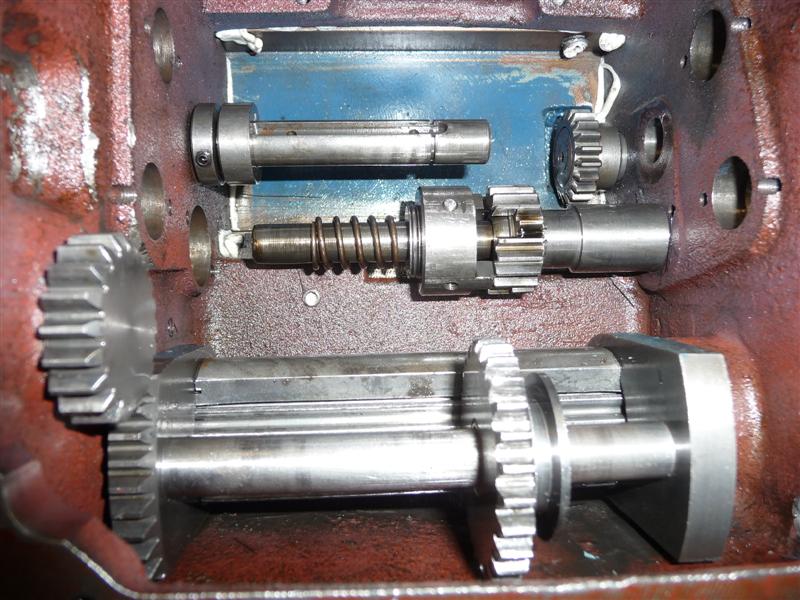 P1020352 (Medium).JPG